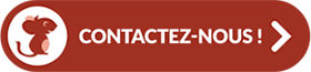 Bouton contactez-nous !